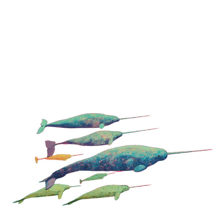 Surreal Narwhal Group Vinyl Car Decal Sticker – Waterproof & UV-Resistant 8"