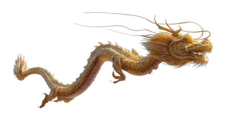 Golden Chinese Dragon V15 Vinyl Car Decal Sticker – Waterproof & UV-Resistant 8"