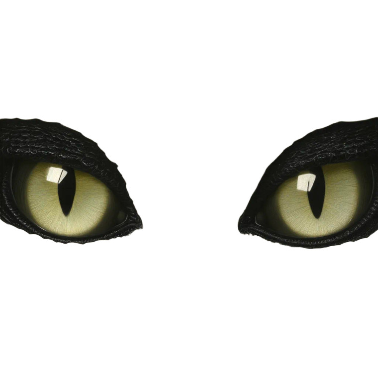 Serpentine Eyes Vinyl Car Decal Sticker – Waterproof & UV-Resistant 8"
