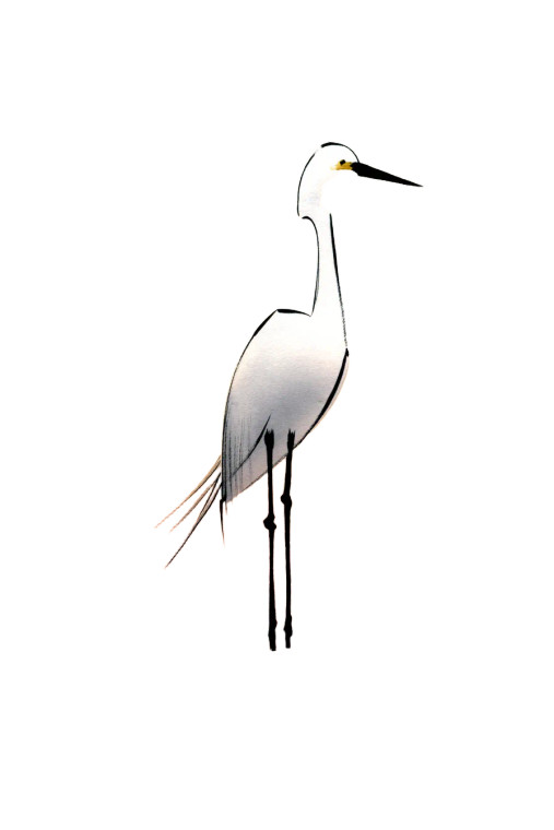 White Egret Illustration Vinyl Car Decal Sticker – Waterproof & UV-Resistant 8"