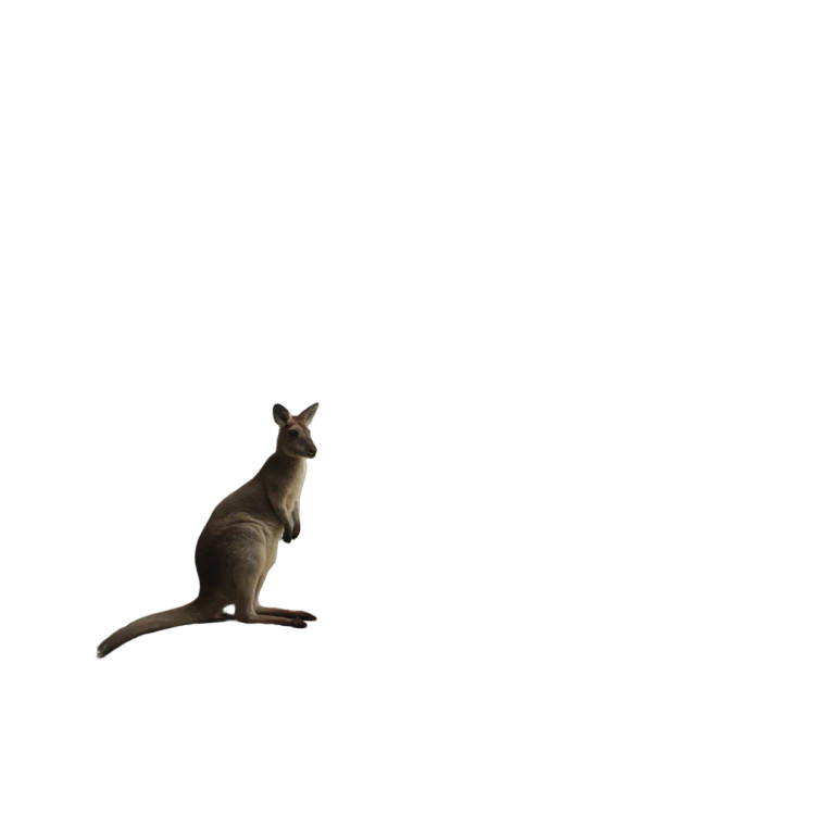 Kangaroo On Rock Vinyl Car Decal Sticker – Waterproof & UV-Resistant 8"