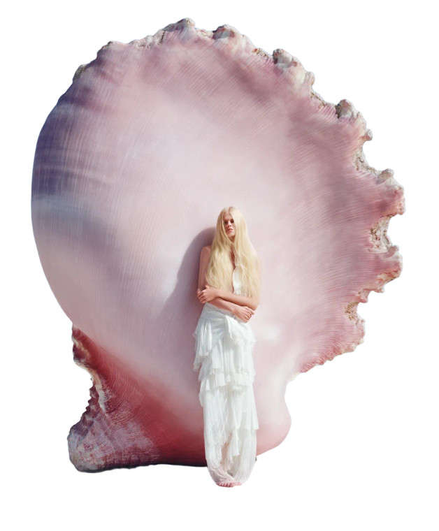 Blonde Shell Muse Vinyl Car Decal Sticker – Waterproof & UV-Resistant 8"