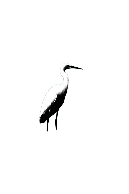 White Heron Logo V2 Vinyl Car Decal Sticker – Waterproof & UV-Resistant 8"