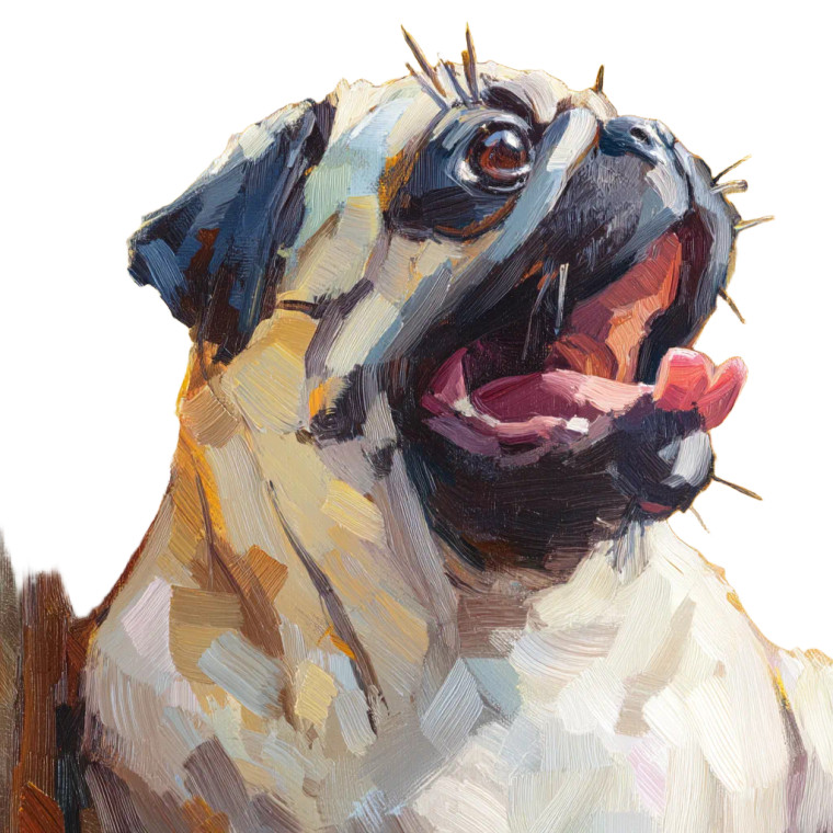 Yawning Pug Portrait Vinyl Car Decal Sticker – Waterproof & UV-Resistant 8"