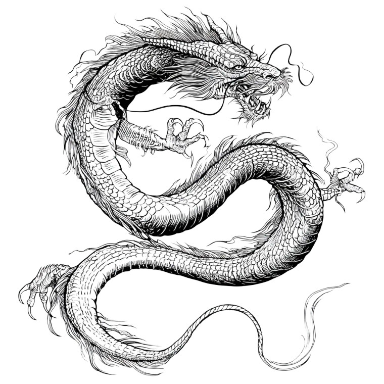 Oriental Dragon V2 Vinyl Car Decal Sticker – Waterproof & UV-Resistant 8"