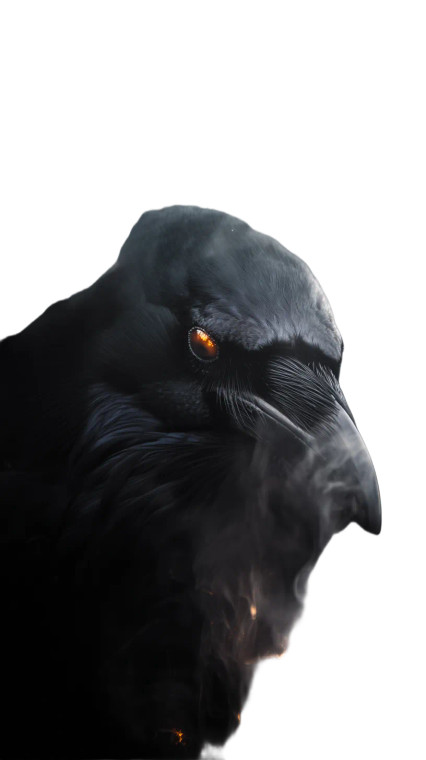 Ghostly Raven Vinyl Car Decal Sticker – Waterproof & UV-Resistant 8"