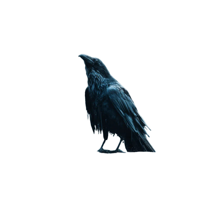 Sad Rain Crow Vinyl Car Decal Sticker – Waterproof & UV-Resistant 8"