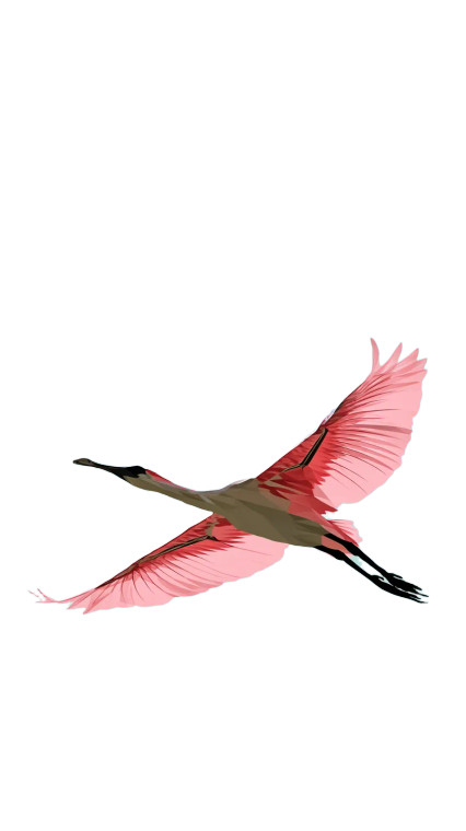 Geometric Spoonbill Vinyl Car Decal Sticker – Waterproof & UV-Resistant 8"