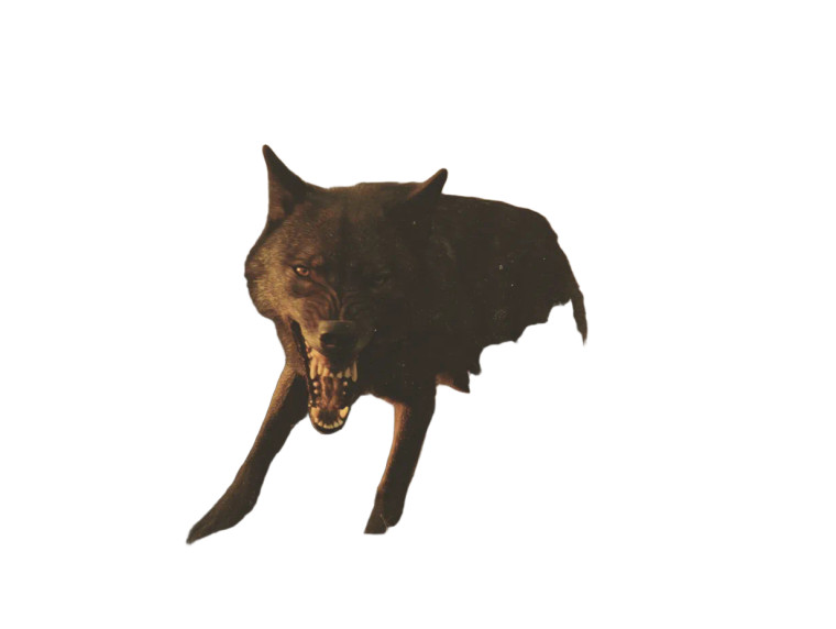 Fierce Giant Wolf Vinyl Car Decal Sticker – Waterproof & UV-Resistant 8"