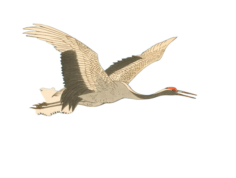 Flying Crane Bird Vinyl Car Decal Sticker – Waterproof & UV-Resistant 8"