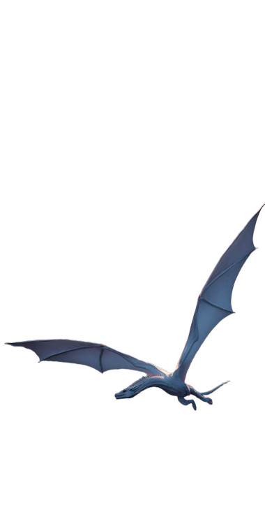 Majestic White Dragon V5 Vinyl Car Decal Sticker – Waterproof & UV-Resistant 8"