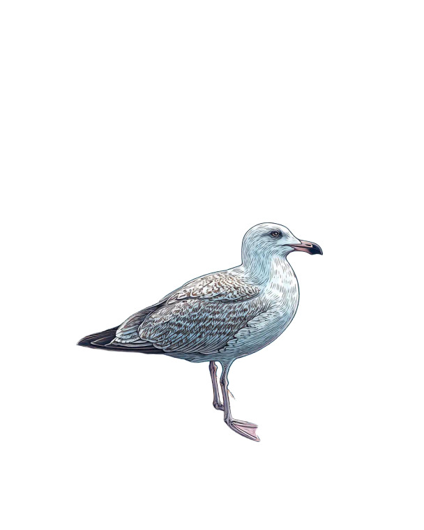 Cyberpunk Seagull Vinyl Car Decal Sticker – Waterproof & UV-Resistant 8"