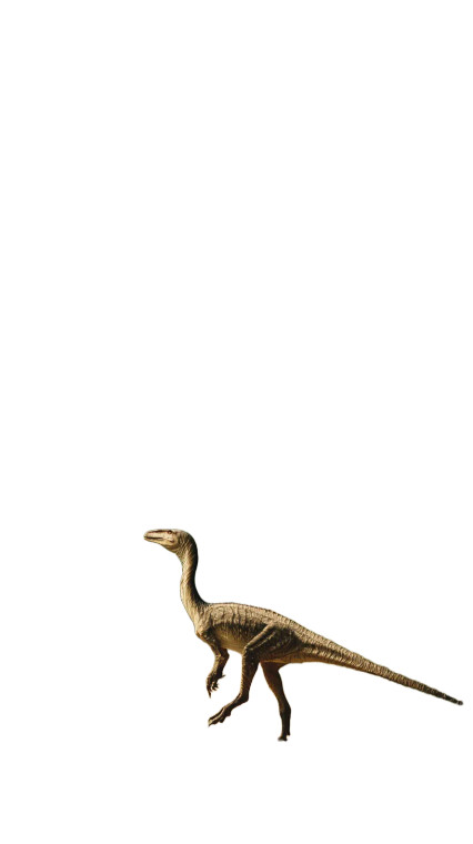Raptor In Forest V2 Vinyl Car Decal Sticker – Waterproof & UV-Resistant 8"