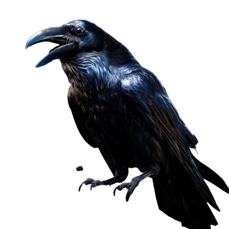 Raven With Amulet Vinyl Car Decal Sticker – Waterproof & UV-Resistant 8"