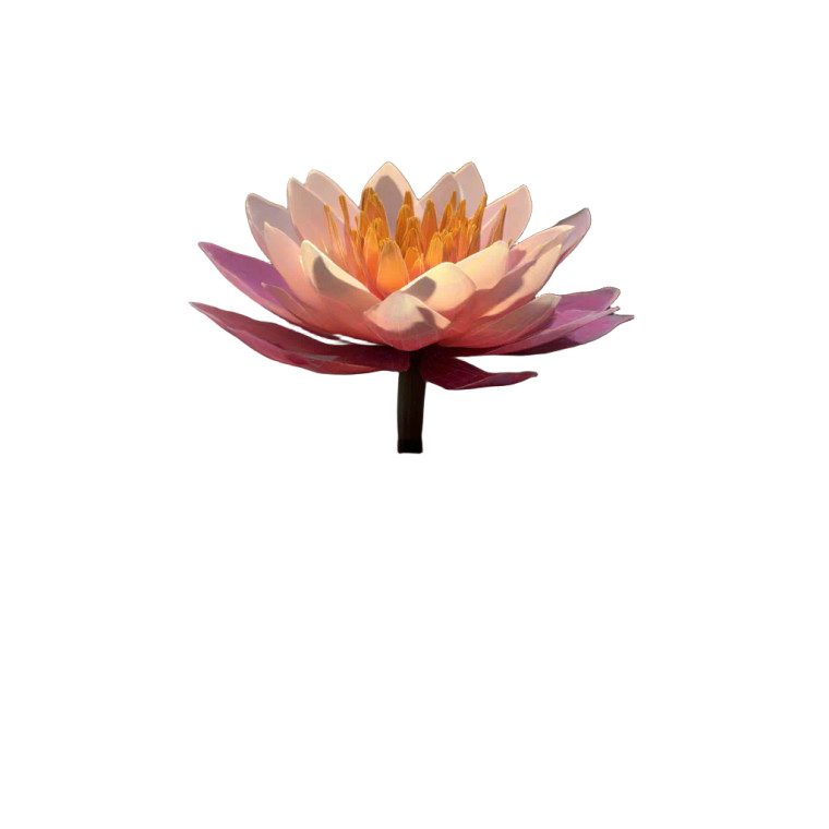 Lotus In Lake Vinyl Car Decal Sticker – Waterproof & UV-Resistant 8"