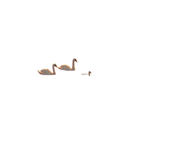 Swan Family Swim Vinyl Car Decal Sticker – Waterproof & UV-Resistant 8"