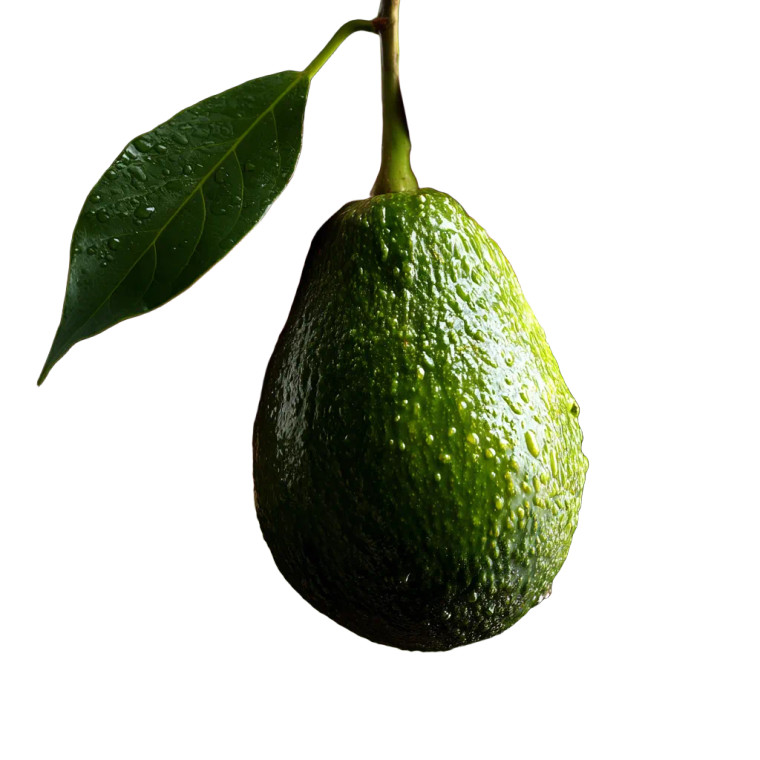 Hand Picking Avocado Vinyl Car Decal Sticker – Waterproof & UV-Resistant 8"