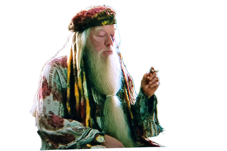 Rasta Dumbledore Vinyl Car Decal Sticker – Waterproof & UV-Resistant 8"