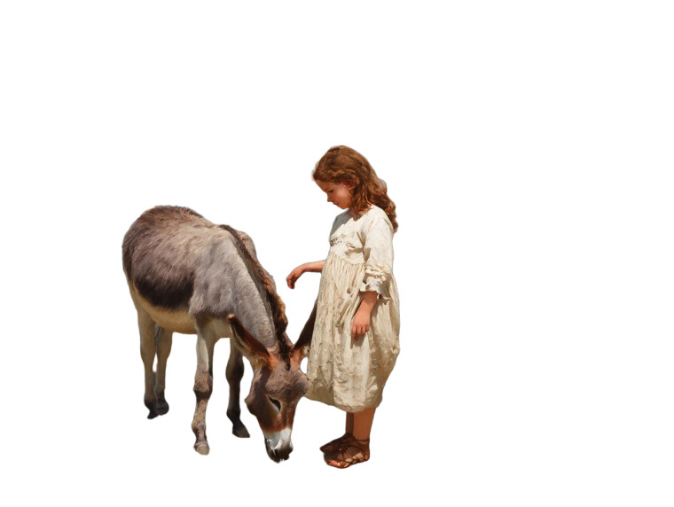 Girl With Donkey Vinyl Car Decal Sticker – Waterproof & UV-Resistant 8"