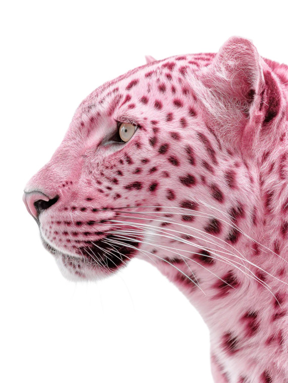 Pink Fur Leopard V2 Vinyl Car Decal Sticker – Waterproof & UV-Resistant 8"