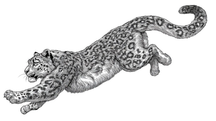 Snow Leopard Tattoo Vinyl Car Decal Sticker – Waterproof & UV-Resistant 8"