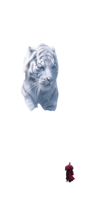 Gigantic White Tigers Vinyl Car Decal Sticker – Waterproof & UV-Resistant 8"