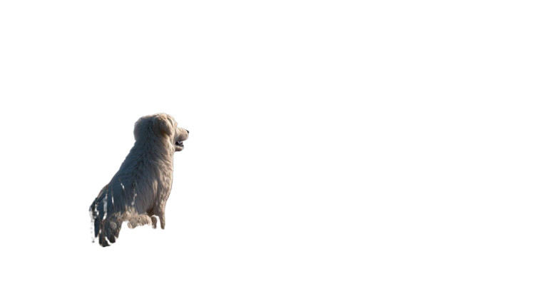 White Dog Landscape Vinyl Car Decal Sticker – Waterproof & UV-Resistant 8"