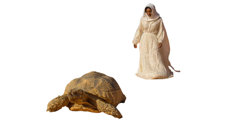 Desert Tortoise Struggle Vinyl Car Decal Sticker – Waterproof & UV-Resistant 8"