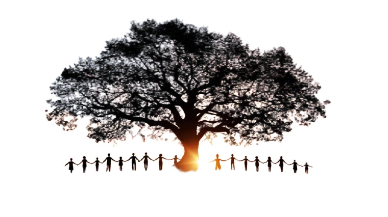 Ancient Wisdom Tree Vinyl Car Decal Sticker – Waterproof & UV-Resistant 8"