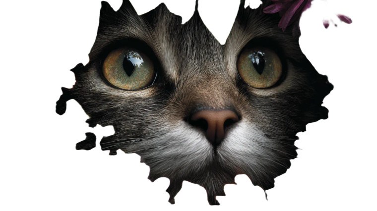 Cute Cat Close-Up V2 Vinyl Car Decal Sticker – Waterproof & UV-Resistant 8"