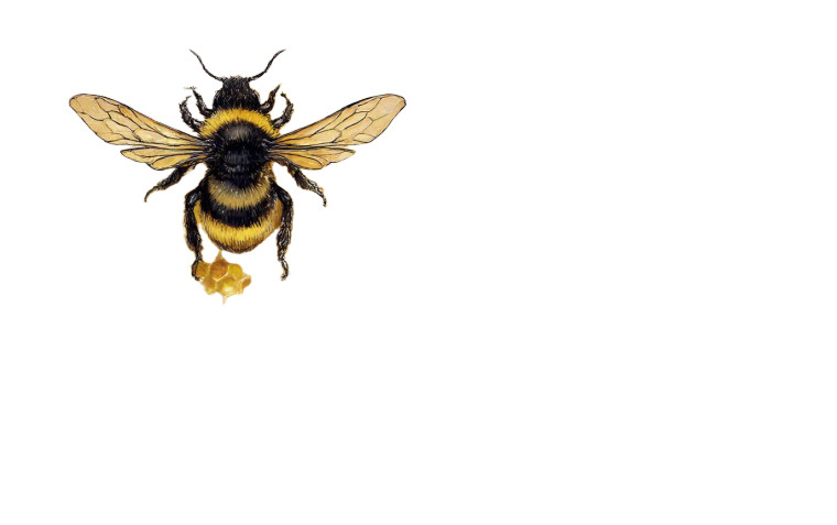 Honeybee Manual Vinyl Car Decal Sticker – Waterproof & UV-Resistant 8"