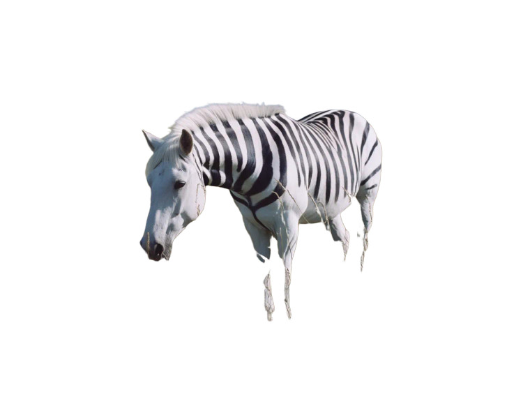 Striped Wild Horse Vinyl Car Decal Sticker – Waterproof & UV-Resistant 8"