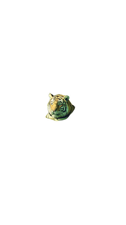 Sleeping Tiger Vinyl Car Decal Sticker – Waterproof & UV-Resistant 8"