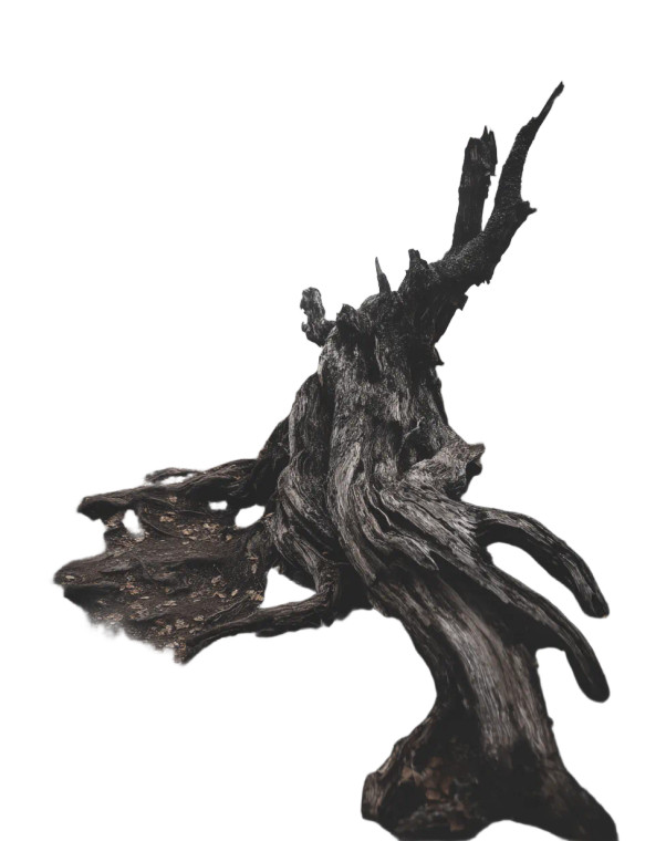 Twisted Tree Trunk Vinyl Car Decal Sticker – Waterproof & UV-Resistant 8"