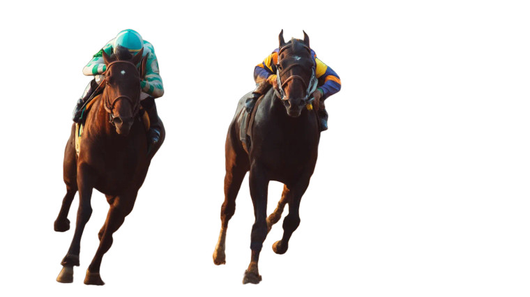 Horse Race Vinyl Car Decal Sticker – Waterproof & UV-Resistant 8"