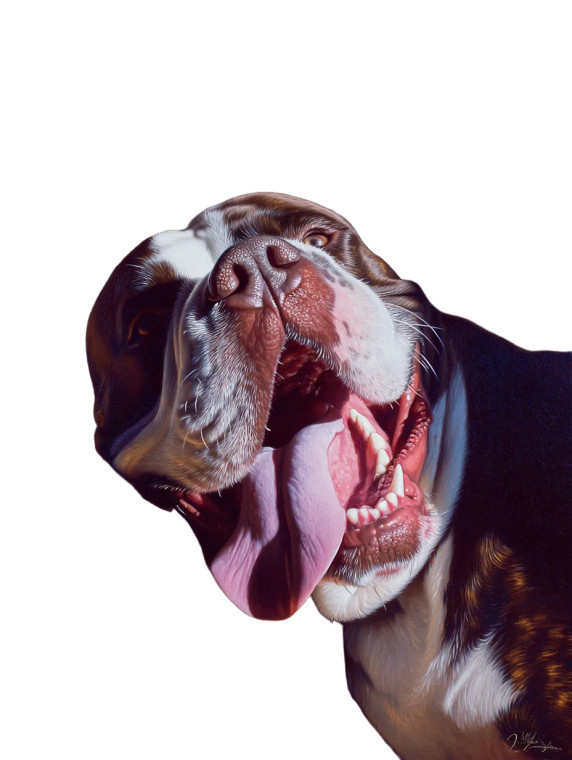 British Bulldog Relaxing Vinyl Car Decal Sticker – Waterproof & UV-Resistant 8"