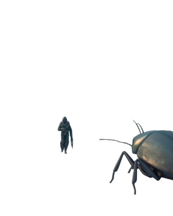 Giant Snow Beetles Vinyl Car Decal Sticker – Waterproof & UV-Resistant 8"