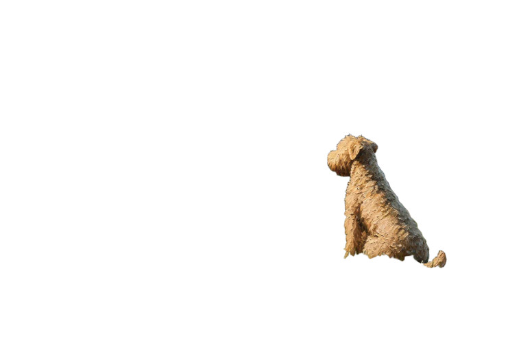 Wheaten Terrier V3 Vinyl Car Decal Sticker – Waterproof & UV-Resistant 8"