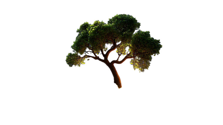 Magical Flourishing Tree Vinyl Car Decal Sticker – Waterproof & UV-Resistant 8"