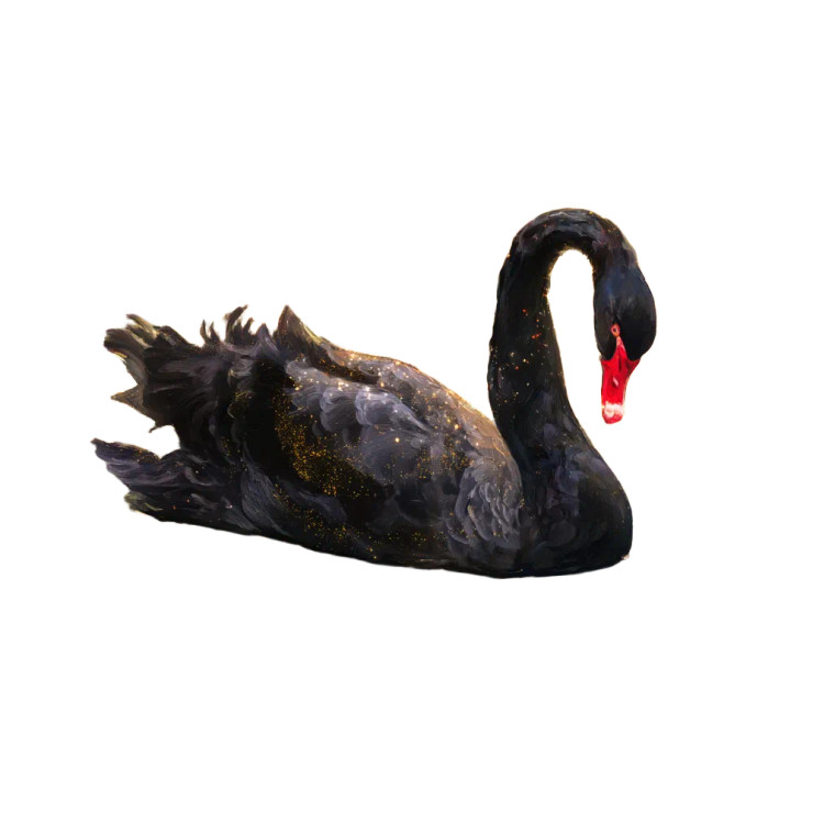 Majestic Black Swan Vinyl Car Decal Sticker – Waterproof & UV-Resistant 8"