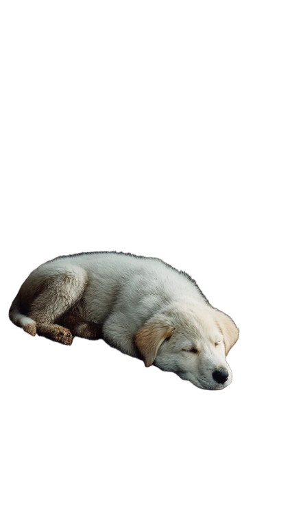 Sleeping Puppy V3 Vinyl Car Decal Sticker – Waterproof & UV-Resistant 8"
