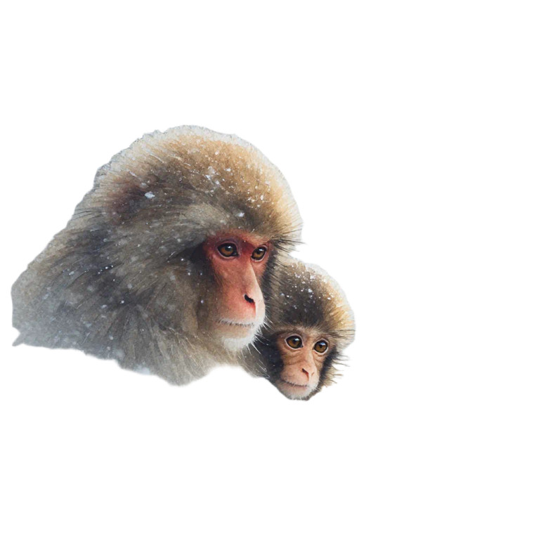 Snow Monkey Mother Vinyl Car Decal Sticker – Waterproof & UV-Resistant 8"