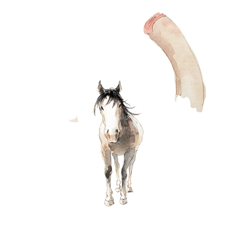 Horseshoe Horse Vinyl Car Decal Sticker – Waterproof & UV-Resistant 8"