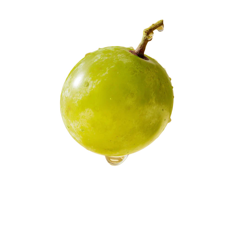 Green Grape Vinyl Car Decal Sticker – Waterproof & UV-Resistant 8" Green Grape Vinyl Car Decal Sticker – Waterproof & UV-Resistant 8"