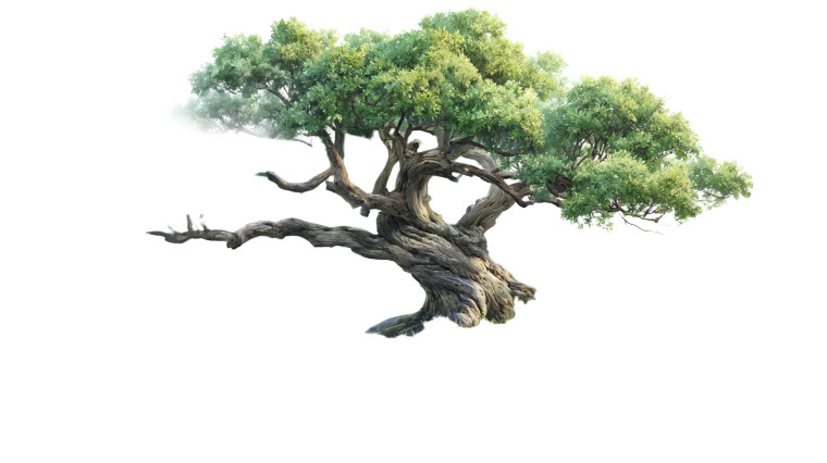 Enchanted Disney Tree Vinyl Car Decal Sticker – Waterproof & UV-Resistant 8"