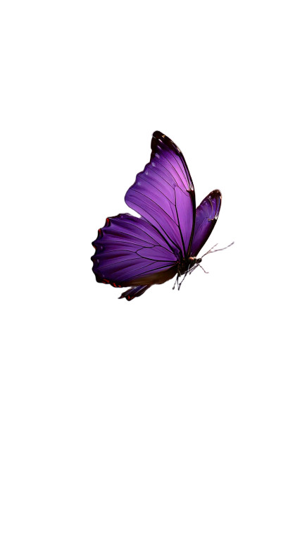 Purple Butterfly Vinyl Car Decal Sticker – Waterproof & UV-Resistant 8"
