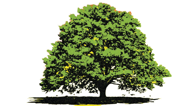 Burning Green Tree Vinyl Car Decal Sticker – Waterproof & UV-Resistant 8"