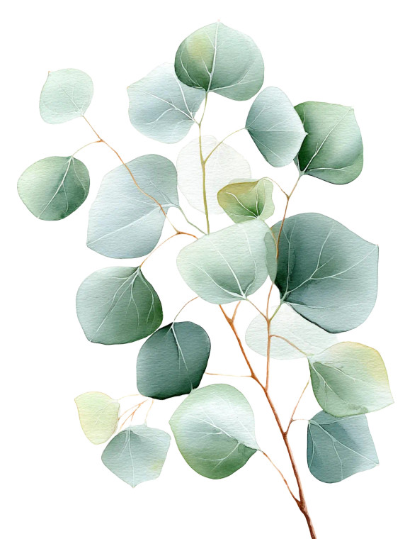 Eucalyptus Leaf Branch Vinyl Car Decal Sticker – Waterproof & UV-Resistant 8"