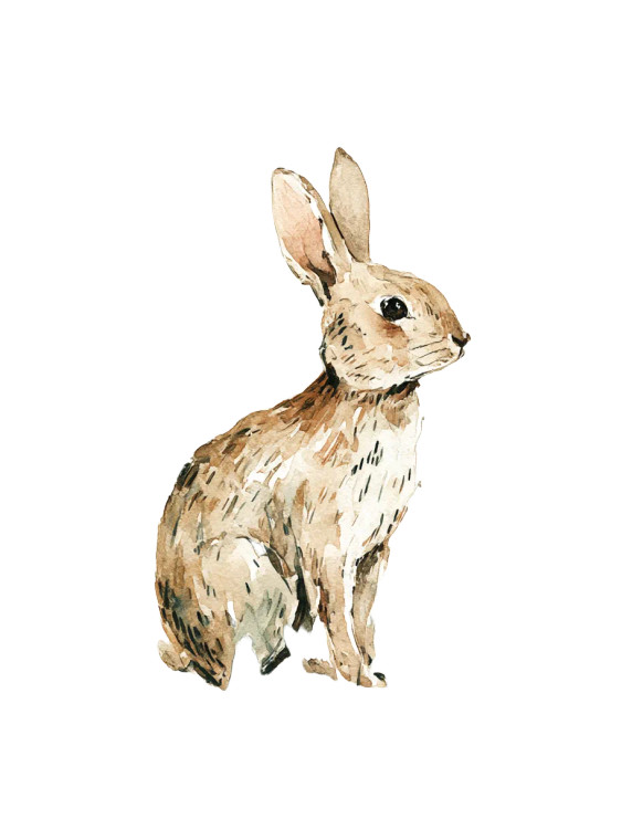 Watercolor Rabbit Vinyl Car Decal Sticker – Waterproof & UV-Resistant 8"