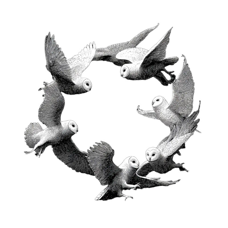 Owls In Flight Vinyl Car Decal Sticker – Waterproof & UV-Resistant 8" Owls In Flight Vinyl Car Decal Sticker – Waterproof & UV-Resistant 8"